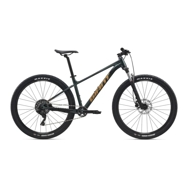 Bicycle: Superior Design & Quality