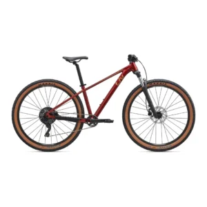 Bike: Lightweight Frame for Easy Maneuverability